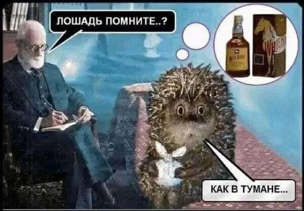 картинка b0e8af56b0 ubojnaja podborka kommenty iz seti memy smeh do slez 1