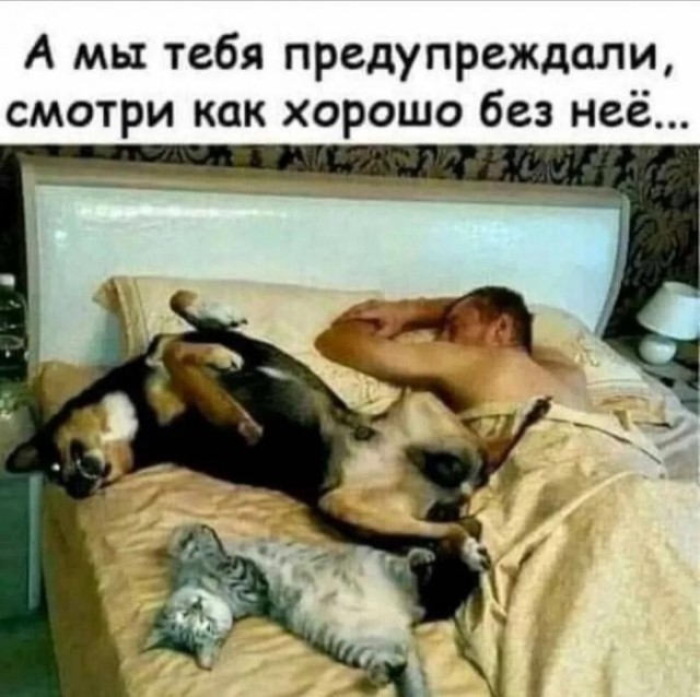 картинка b21a6873ad 20902939