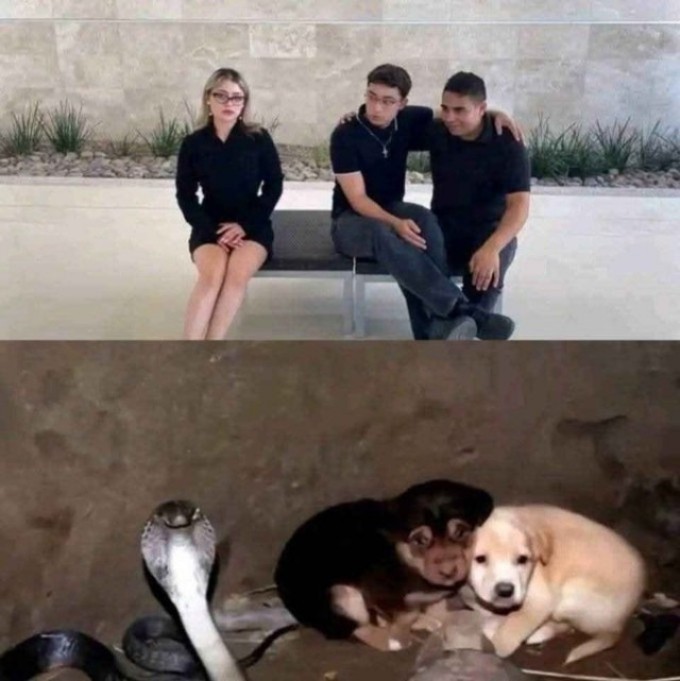 картинка b2b751a9ca vnimanie vzroslye gotovtes k doze chernogo jumora kotoryj ne ostavit ravnodushnym nikogo 21