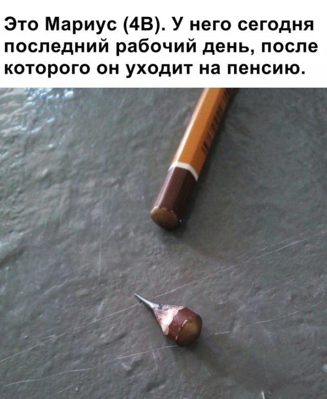 Пятница — время смеяться! Уморительная подборка мемов для отличного настроения 🎉 друзья, картинок, рабочей, долгой, после, настроение, поднимет, точно, подборка, смеяться, Готовьтесь, надписями, мемов, пятница, уморительных, порцию, свежую, самую, собрали, позитивным