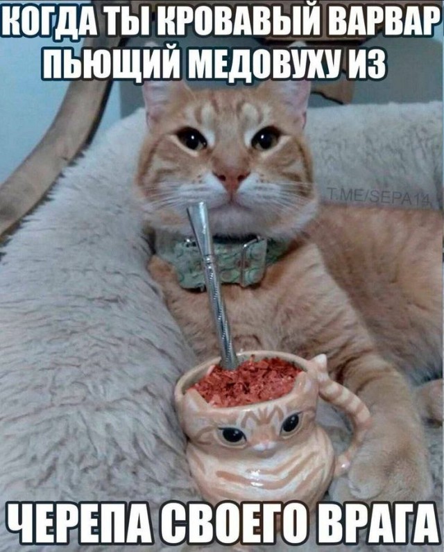 картинка b48f6a5547 20868212