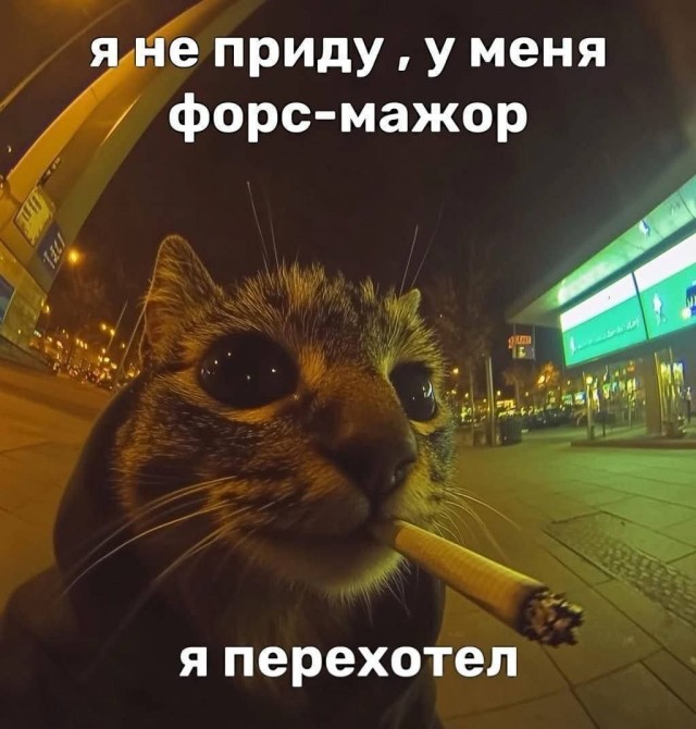 картинка b56936c515 20868209