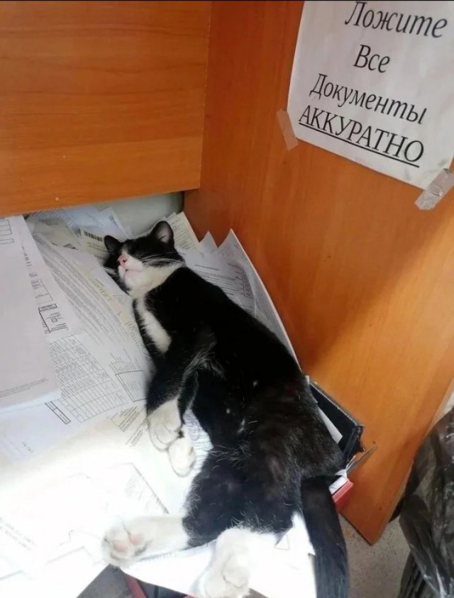 картинка b7e88c5a5a 20884728