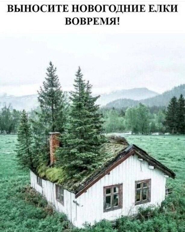 картинка b81cf82c71 novyj sbornik umoritelnyh memov ulybka garantirovana 13