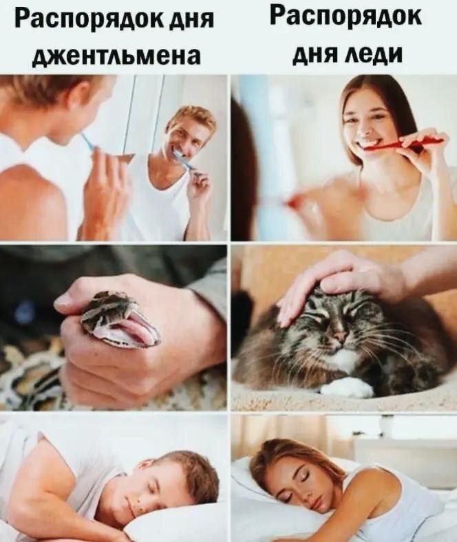 Выходные + смешные мемы = идеальное настроение! Забудь, самые, Проведи, позитива, заряд, подарят, настроение, поднимут, гарантированно, которые, уморительные, отобрали, скуку, тщательно, смехом, искренним, эмоциями, яркими, наполнены, будут