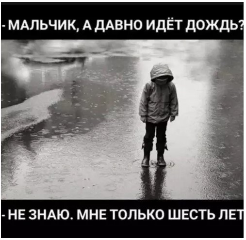 картинка b8e4f22d33 20904209