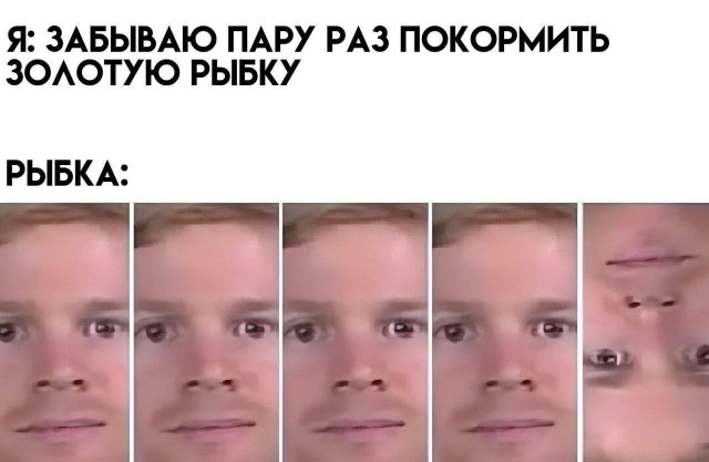 картинка ba1e7691b7 20901286