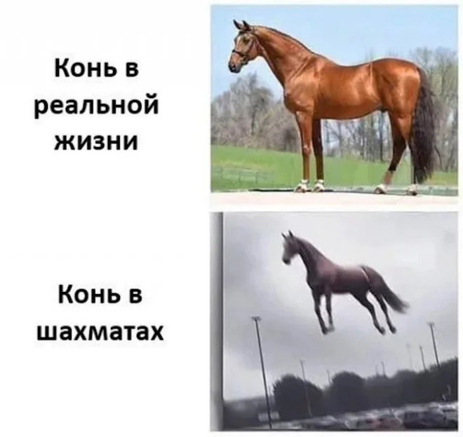 картинка bace0e73b3 sbornik novyh prikolov v pjatnicu porcija smeha vmesto kofe 15