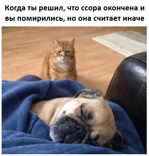 картинка bb09c5729f 0000000000000000