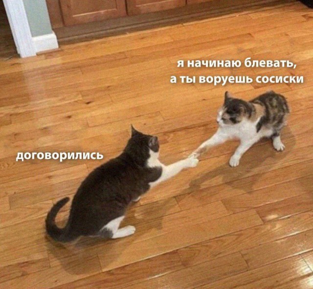 Ура, выходные! 🎉 Время отдохнуть, расслабиться и зарядиться позитивом. может, которые, только, будет, дальше, смеха, взрыву, Готовьтесь, хохотать, улыбнуться, заставят, точно, надписями, лучше, картинки, лучшие, самыесамые, собрали, шуток, уморительных