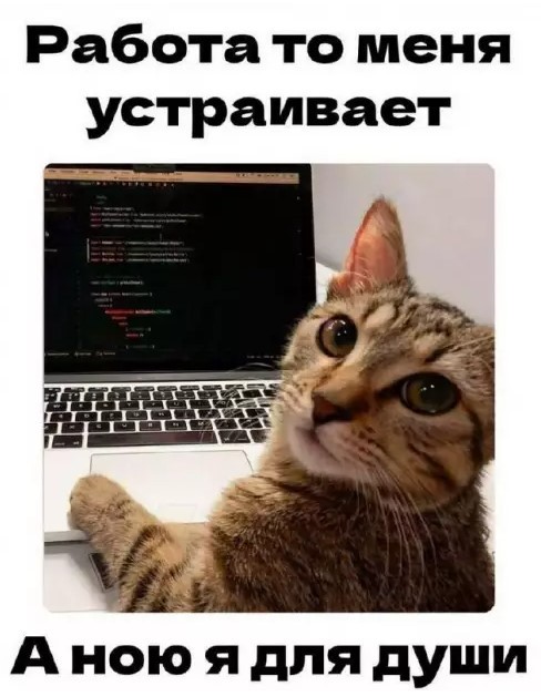 Понедельник не так уж и страшен! 😉 неделю, понедельник, Привет, получайте, 😊Готовы, зарядиться, позитивом, Тогда, теряйте, времени, листайте, дальше, смеха, утреннего, хорошим, 😄🤣Пусть, станет, «тяжёлым, стартом», ярким