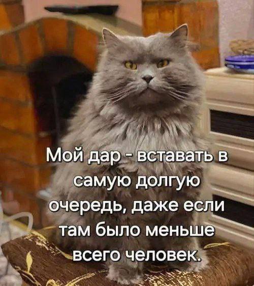 картинка bc79b115b4 000000000000000