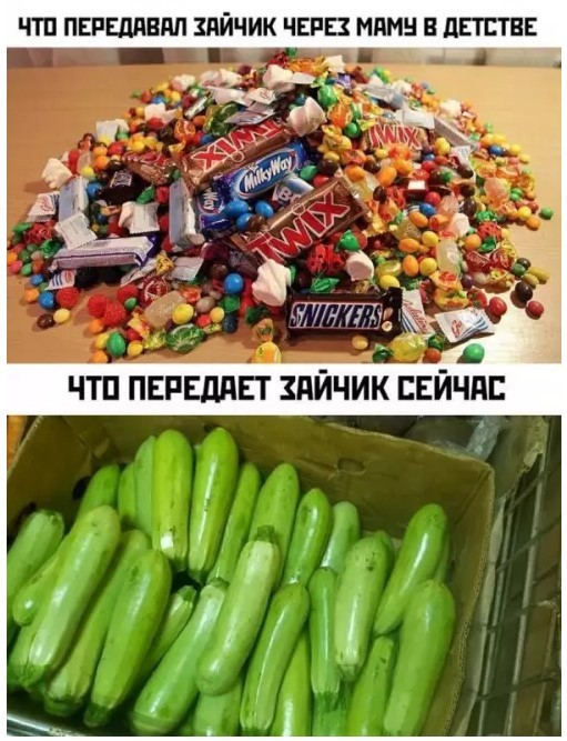 картинка bd310917e3 20904213