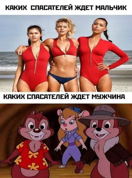 Лучшие шутки в мемах: сборник позитива для вашего дня! Забудьте, настроение, готовы, снова, смеха, минут, хмурый, самый, улыбнуться, заставят, поднимут, суете, которые, картинок, забавных, мемов, смешных, сборник, большой, собрали