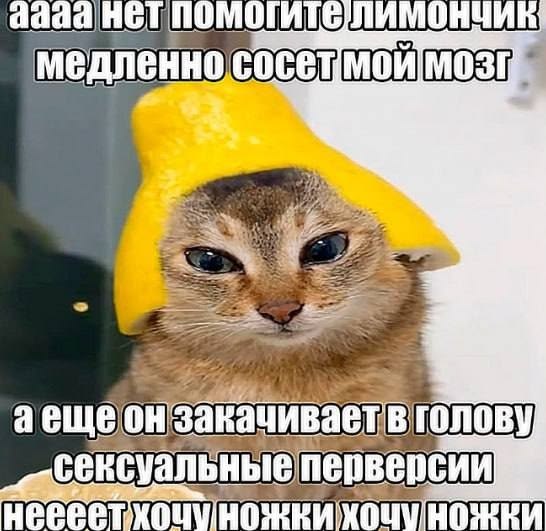 Утро начинается с улыбки! ☀️ Свежая порция мемов для отличного настроения! мемов, чегото, чтобы, самые, юмора, Устали, сделать, потому, ситуации, абсурдные, повороты, смешнымиНеожиданные, серьезные, юмором, знаем, именно, обыгранные, моментАктуальные, неподходящий, самый