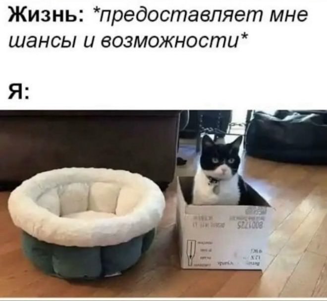 картинка c1b536ac85 memy kommentarii smeh 15