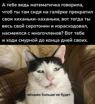 Лучшие шутки в мемах: сборник позитива для вашего дня! Забудьте, настроение, готовы, снова, смеха, минут, хмурый, самый, улыбнуться, заставят, поднимут, суете, которые, картинок, забавных, мемов, смешных, сборник, большой, собрали