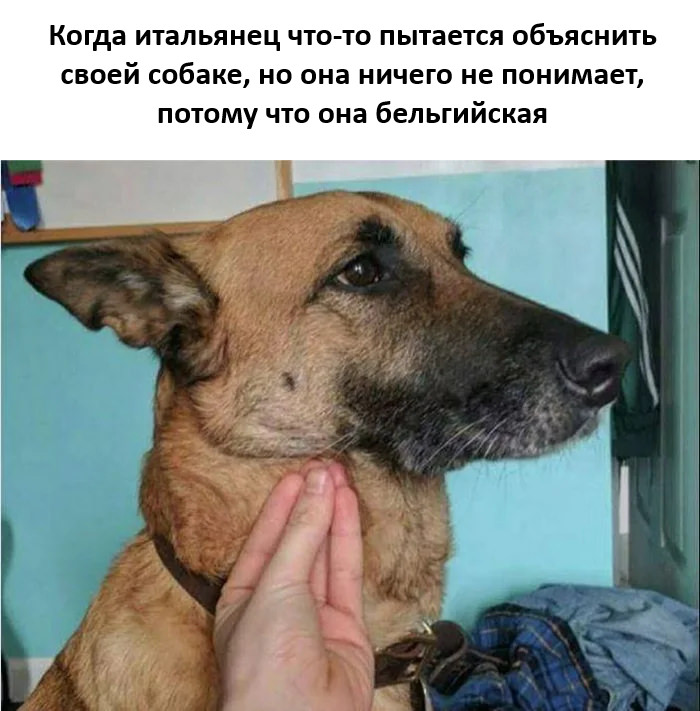 картинка c37b1d17ab vnimanie objavlena malenkaja pjatnica 17