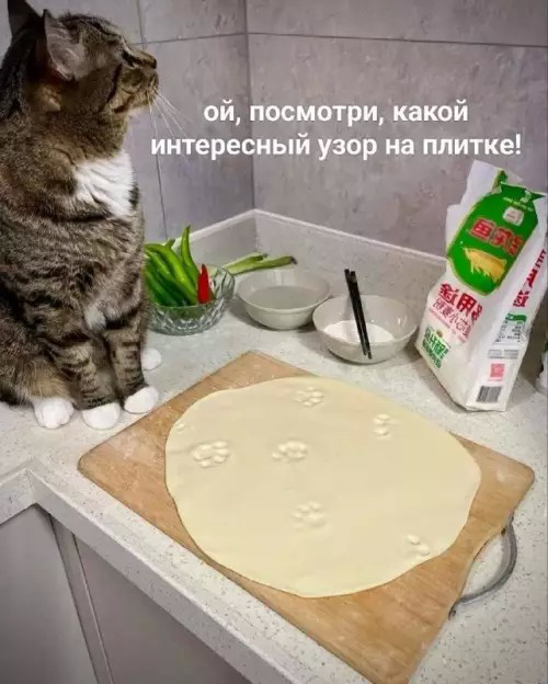 картинка c6dcf020a7 20914535