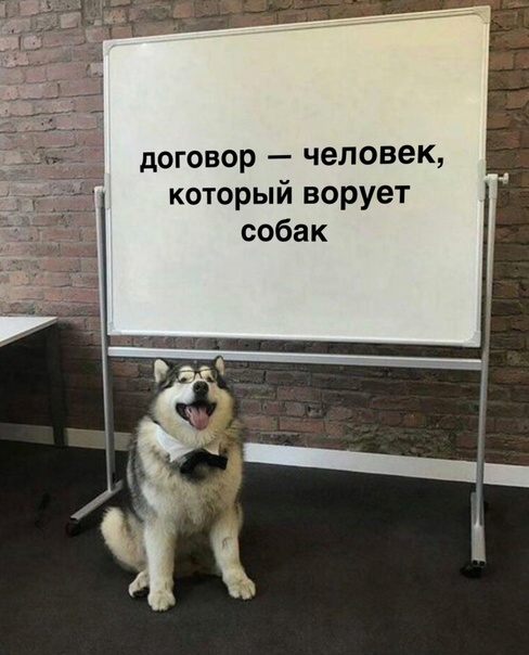 картинка c9500c17e2 20848575