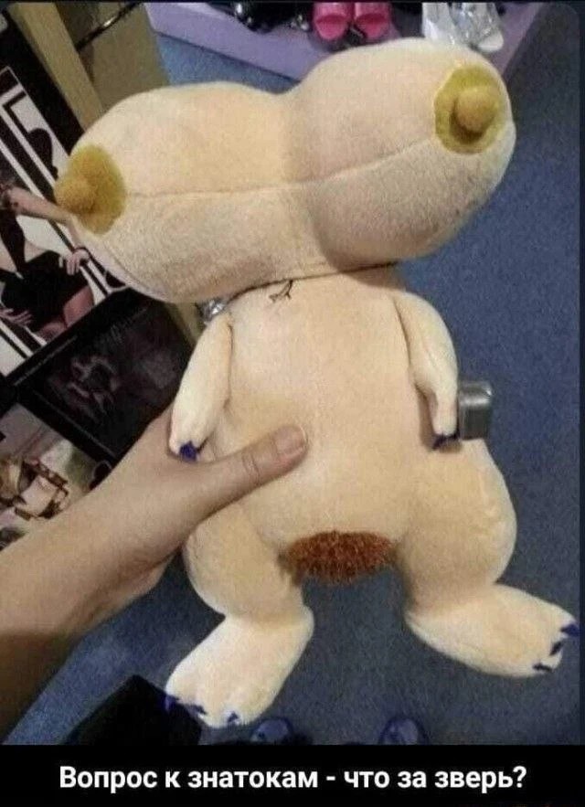 Выходные + смешные мемы = идеальное настроение! Забудь, самые, Проведи, позитива, заряд, подарят, настроение, поднимут, гарантированно, которые, уморительные, отобрали, скуку, тщательно, смехом, искренним, эмоциями, яркими, наполнены, будут