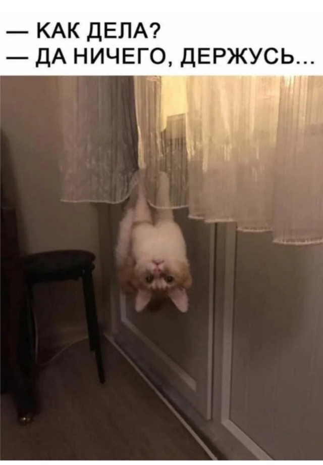 Пятница — время смеяться! Уморительная подборка мемов для отличного настроения 🎉 друзья, картинок, рабочей, долгой, после, настроение, поднимет, точно, подборка, смеяться, Готовьтесь, надписями, мемов, пятница, уморительных, порцию, свежую, самую, собрали, позитивным