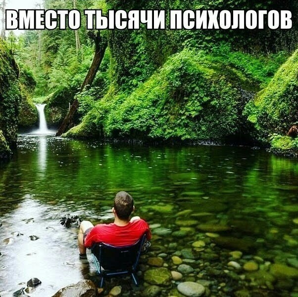 картинка ce8b9461a1 20851216