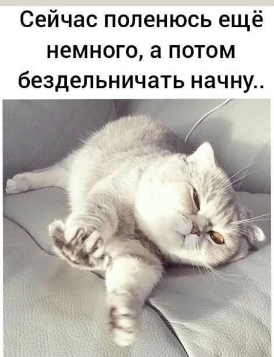 картинка cfd35731b9 20845837