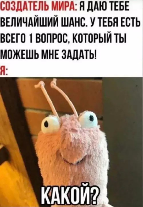 картинка d2a4327df1 20927339