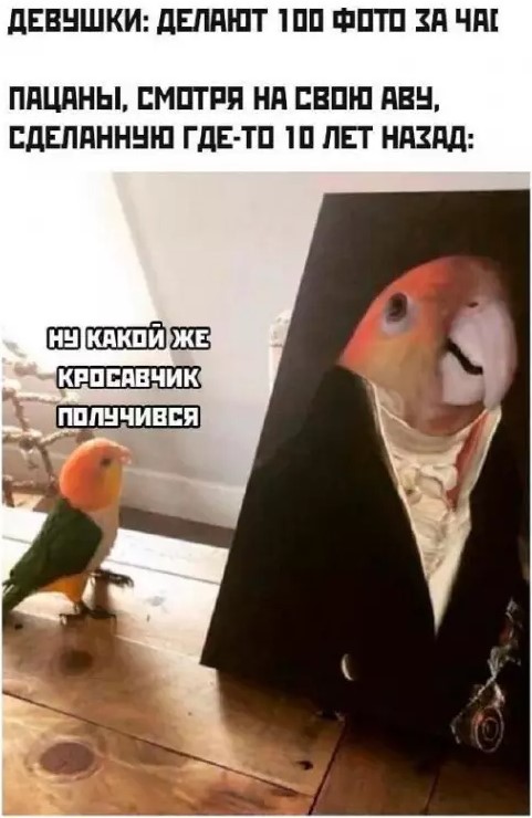 картинка d43c00059c 20869654