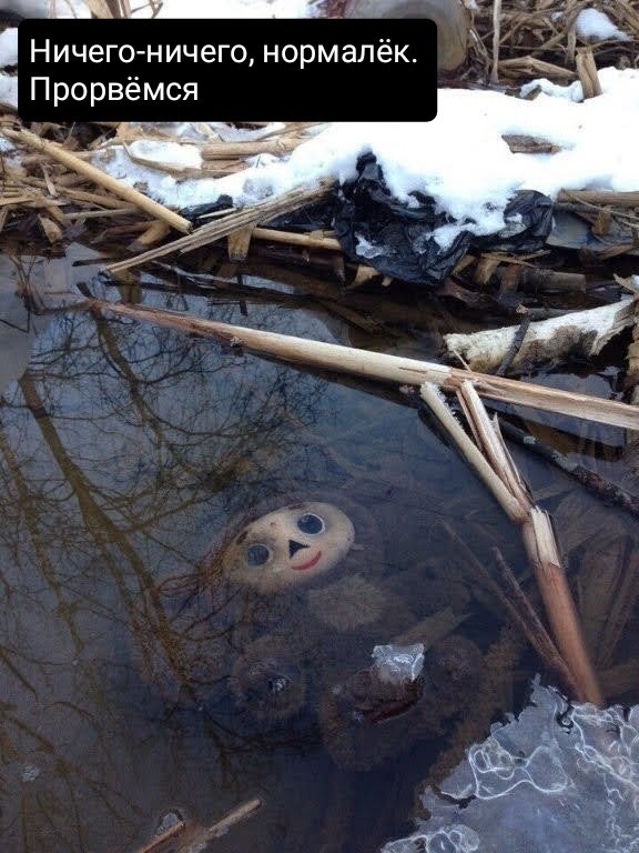 картинка d4d22ac004 20869760