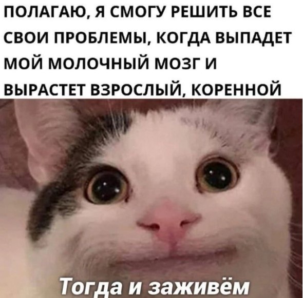 картинка d5511c2e95 20901669