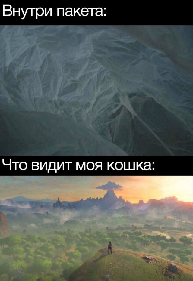 картинка d6495eb03a 20851103