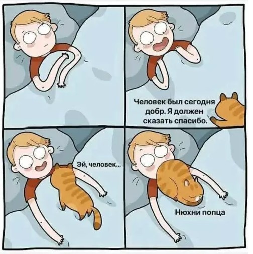 картинка d89145cf6e 20904218