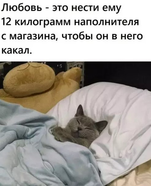 картинка d8ae7f1aff chernyj jumor i poshlye prikoly dlja cenitelej 11