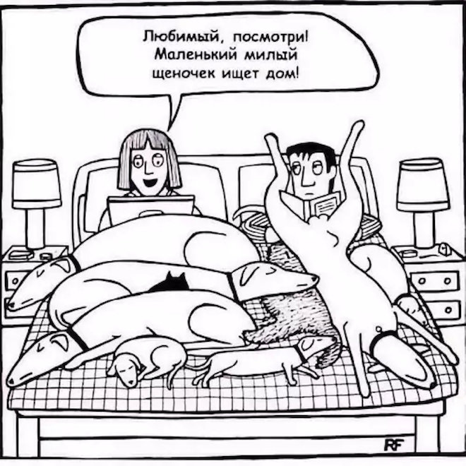 картинка d9647e837e seredina nedeli malenkaja pjatnica podborka pozitiva dlja zarjada jenergii 4