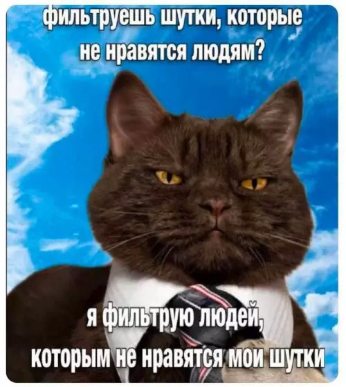 Лучшие шутки в мемах: сборник позитива для вашего дня! Забудьте, настроение, готовы, снова, смеха, минут, хмурый, самый, улыбнуться, заставят, поднимут, суете, которые, картинок, забавных, мемов, смешных, сборник, большой, собрали