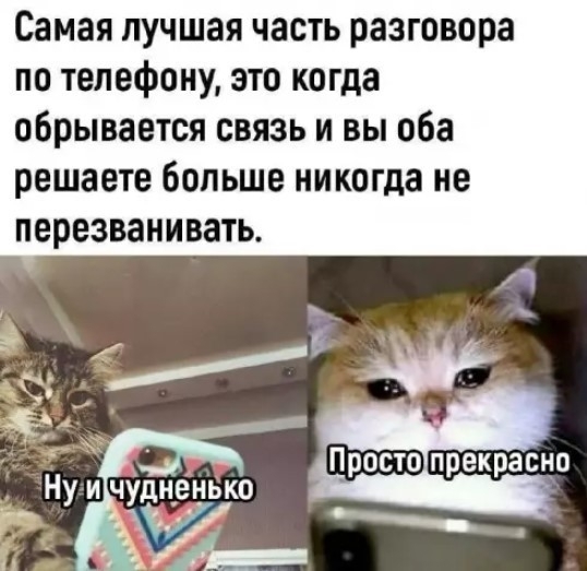 картинка d9b2eceda1 0000000