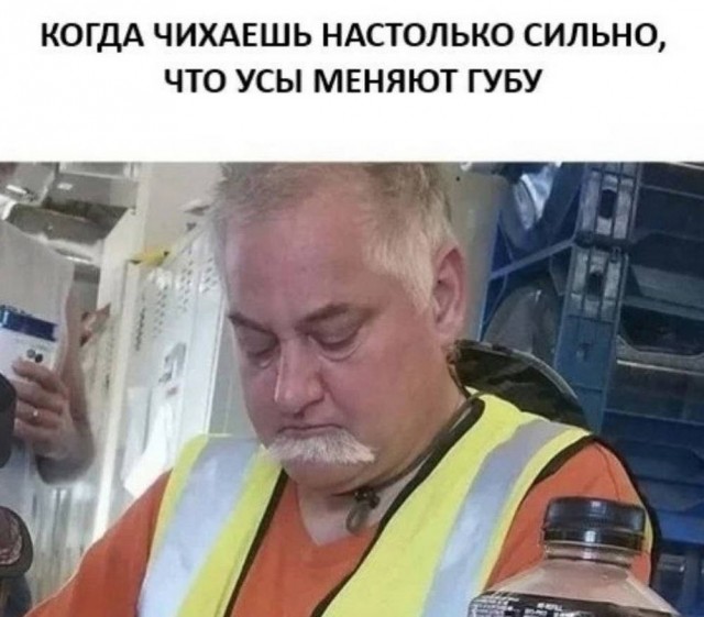 картинка d9b949b48f 20904283