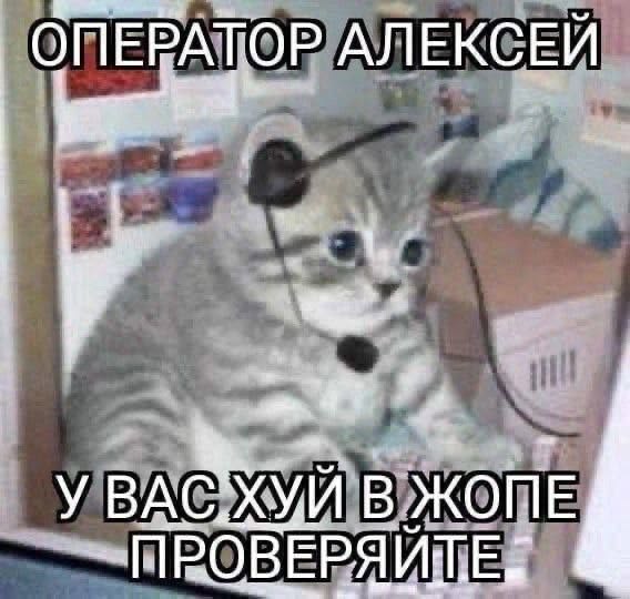 Утро начинается с улыбки! ☀️ Свежая порция мемов для отличного настроения! мемов, чегото, чтобы, самые, юмора, Устали, сделать, потому, ситуации, абсурдные, повороты, смешнымиНеожиданные, серьезные, юмором, знаем, именно, обыгранные, моментАктуальные, неподходящий, самый