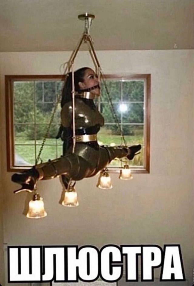 картинка d9f5447475 20869410