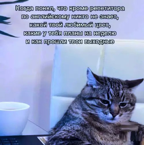 картинка dadc937e64 20914537