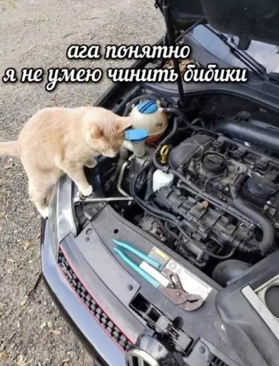 картинка dc39375715 vnimanie vzroslye gotovtes k doze chernogo jumora kotoryj ne ostavit ravnodushnym nikogo 4