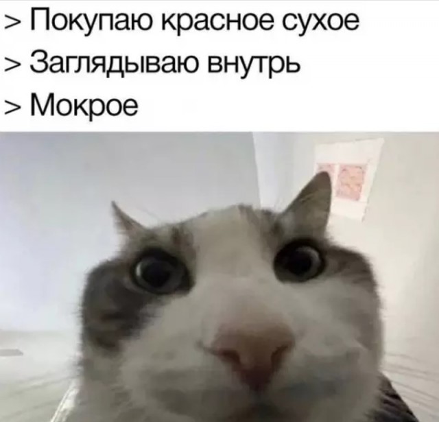 картинка ddff47b8ac 20920761