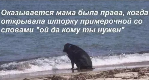 картинка de2d8f0e79 20883886