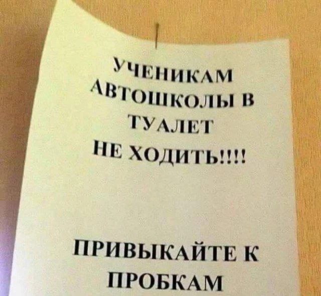 картинка e1f65e3864 20922955