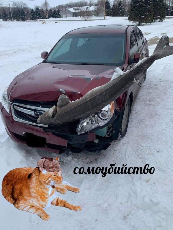 картинка e22db68f64 20868214