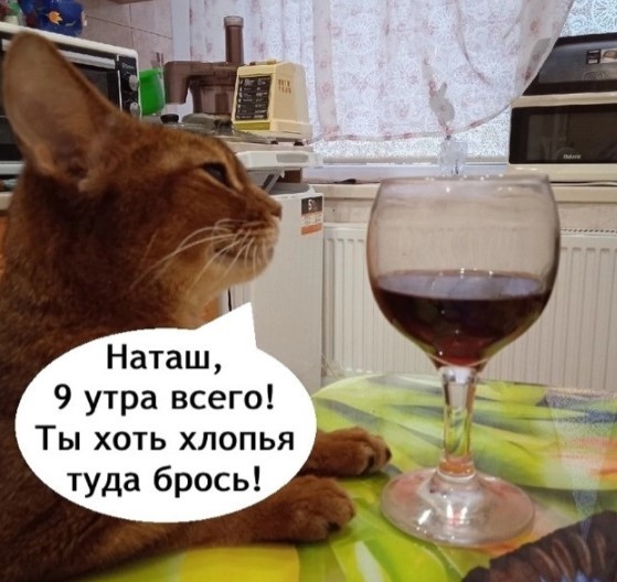 картинка e2376a1291 chernyj jumor dlja izbrannyh podborka shutok ne dlja slabonervnyh 22