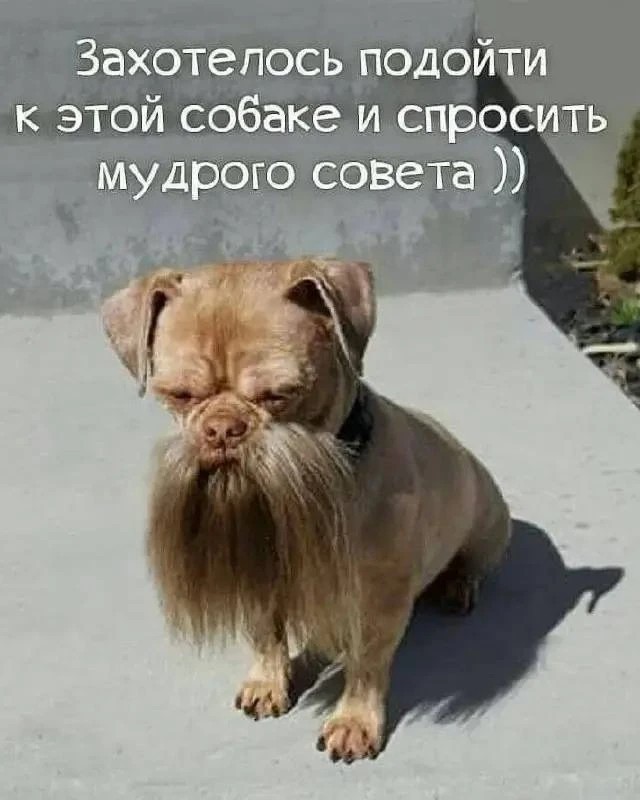 картинка e242af770b 20922940