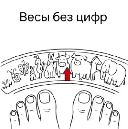 Ура, выходные! 🎉 Время отдохнуть, расслабиться и зарядиться позитивом. может, которые, только, будет, дальше, смеха, взрыву, Готовьтесь, хохотать, улыбнуться, заставят, точно, надписями, лучше, картинки, лучшие, самыесамые, собрали, шуток, уморительных